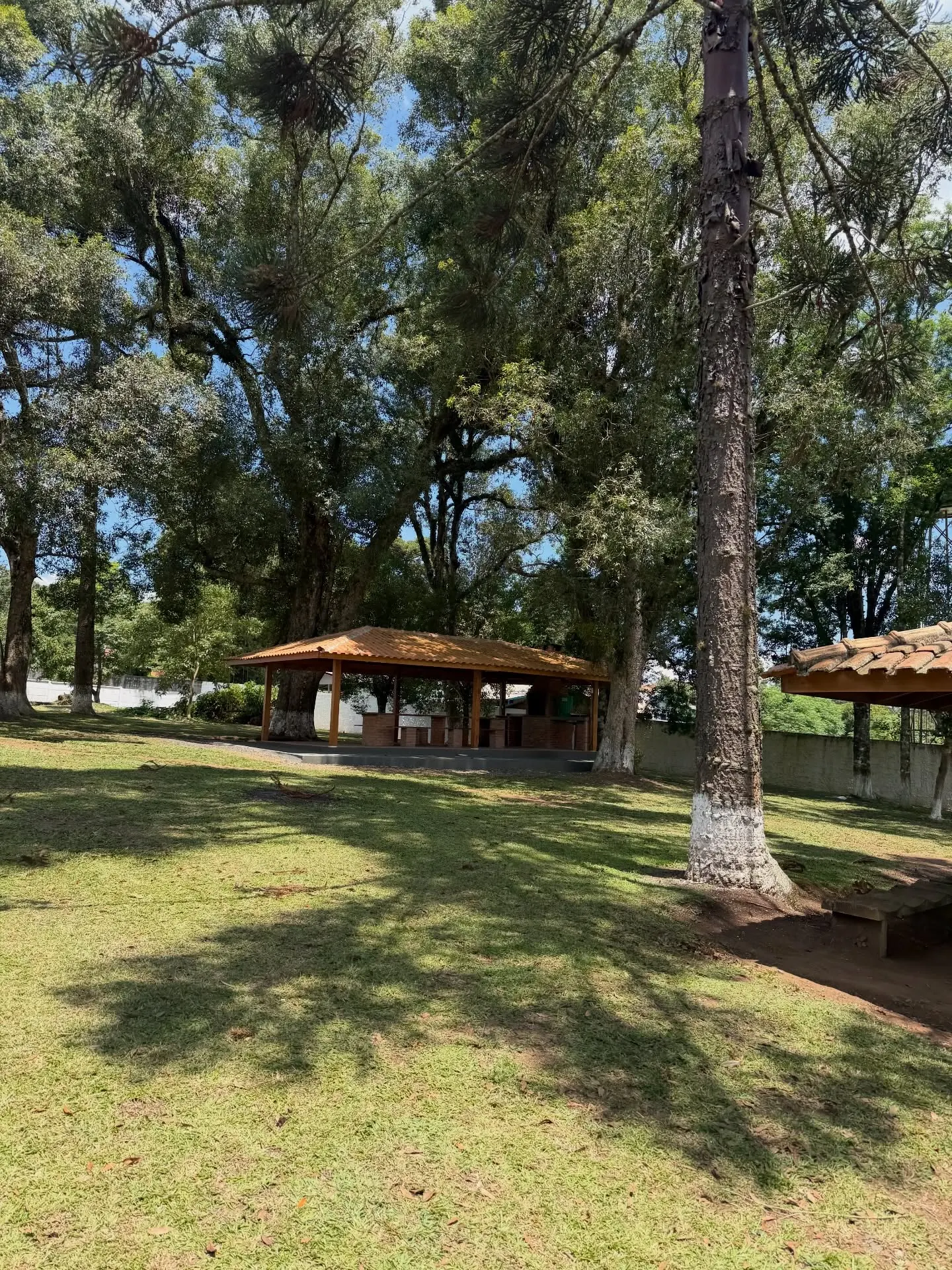 Área verde e quiosques do Canoinhas Tênis Clube